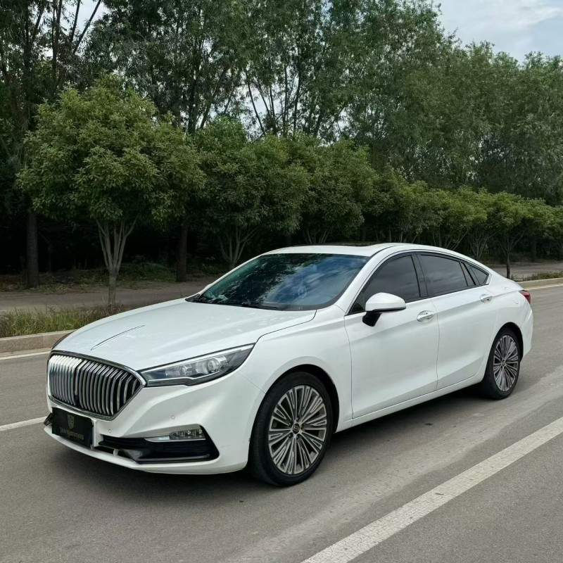 枣庄22年红旗H53