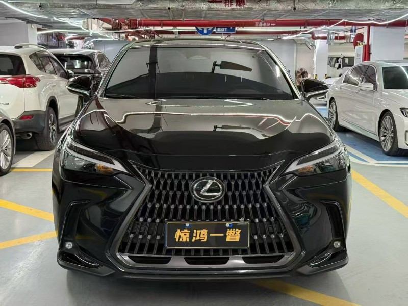 广州24年雷克萨斯NX1