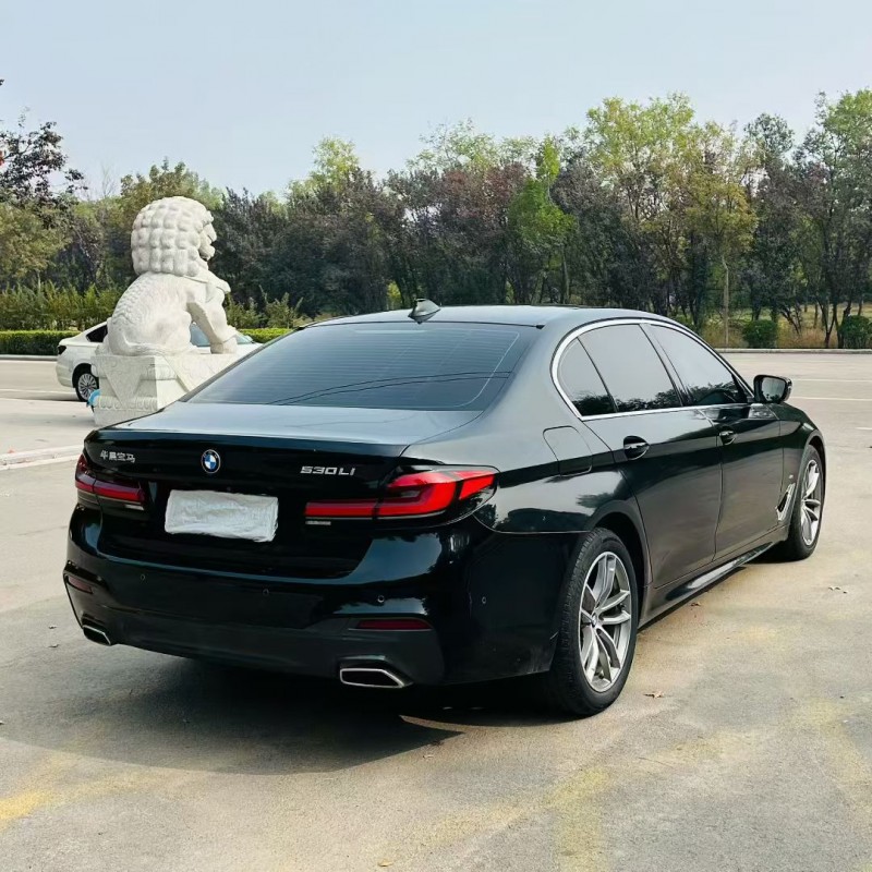 聊城20年宝马5系9
