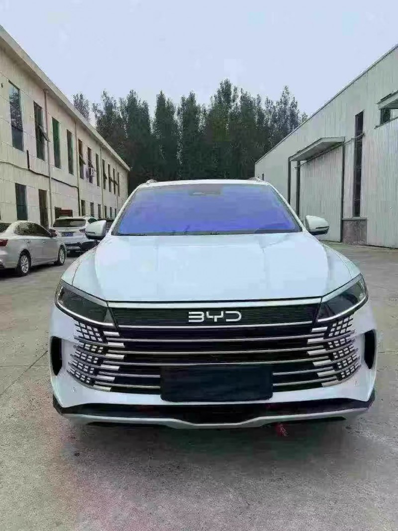 东营25年比亚迪海狮1