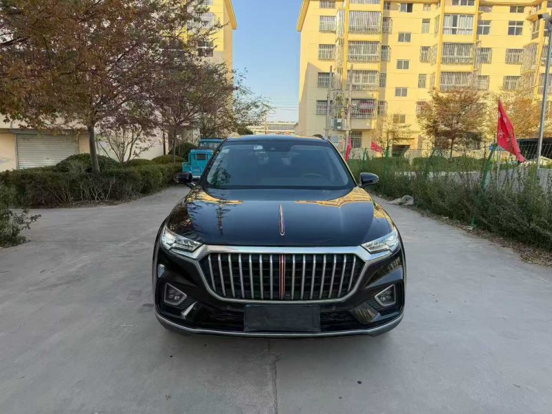 徐州21年红旗HS51