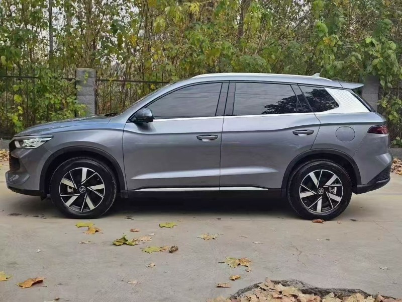 枣庄24年比亚迪宋8