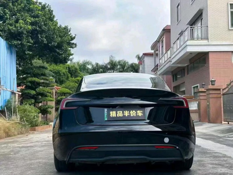 东莞23年特斯拉MODEL 37