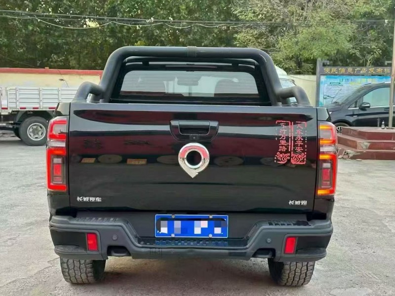 淄博21年长城汽车炮 皮卡9