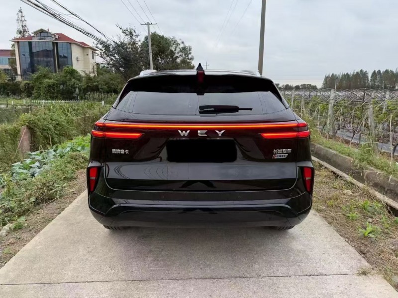 杭州23年长城汽车魏牌9