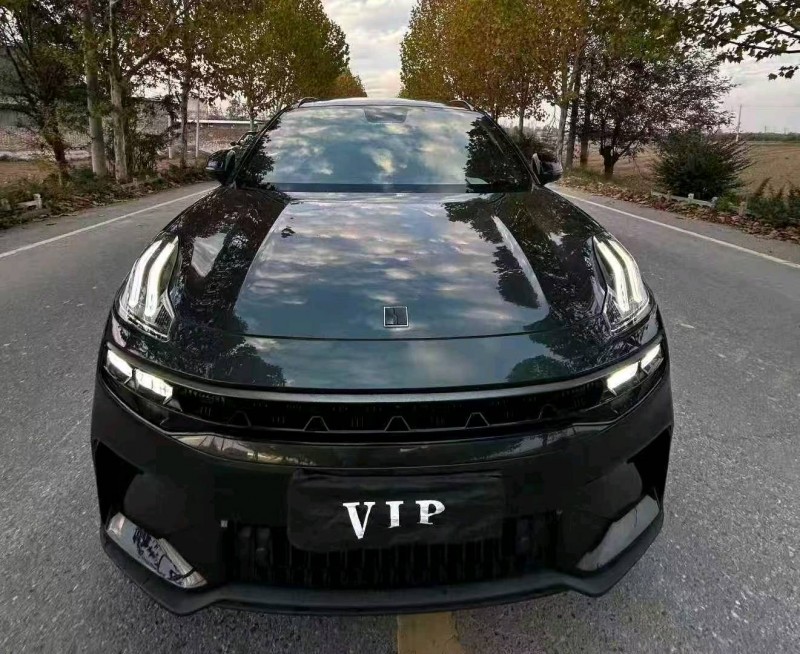 西安24年领克061