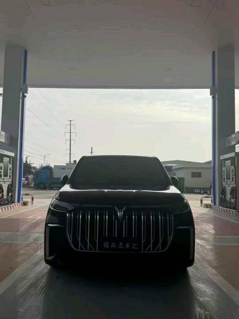 潍坊24年岚图汽车梦想家1