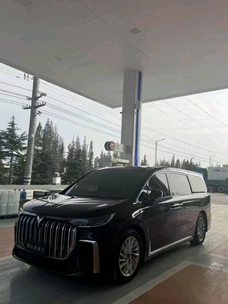 潍坊24年岚图汽车梦想家3