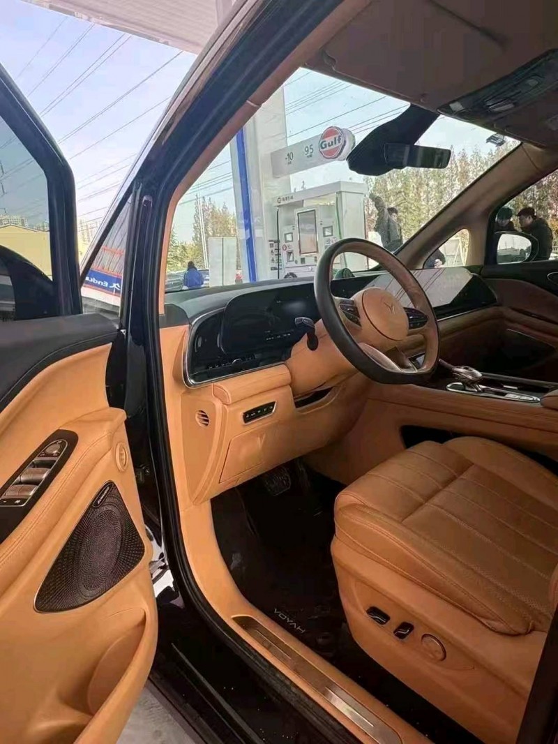 潍坊24年岚图汽车梦想家9