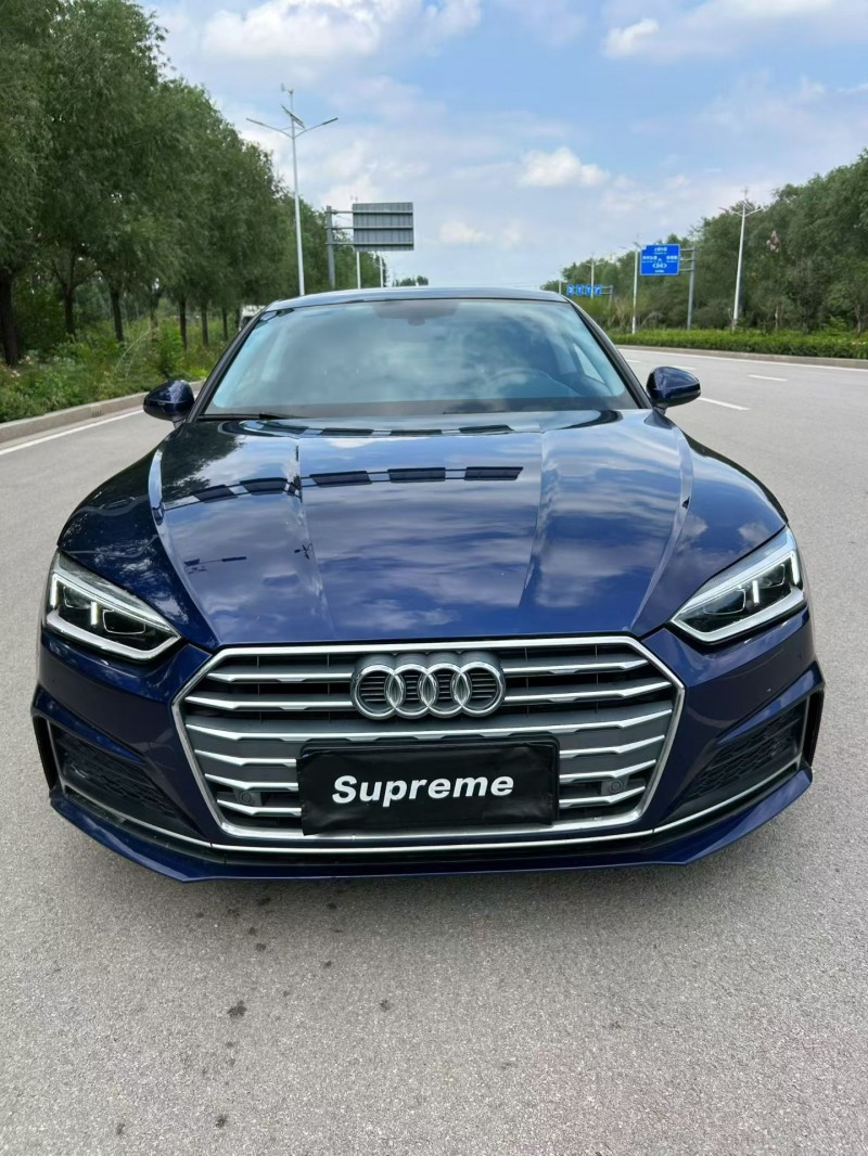 聊城20年奥迪A51