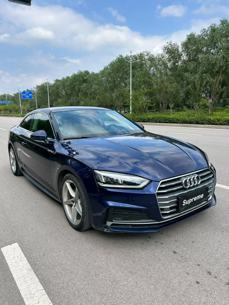 聊城20年奥迪A52