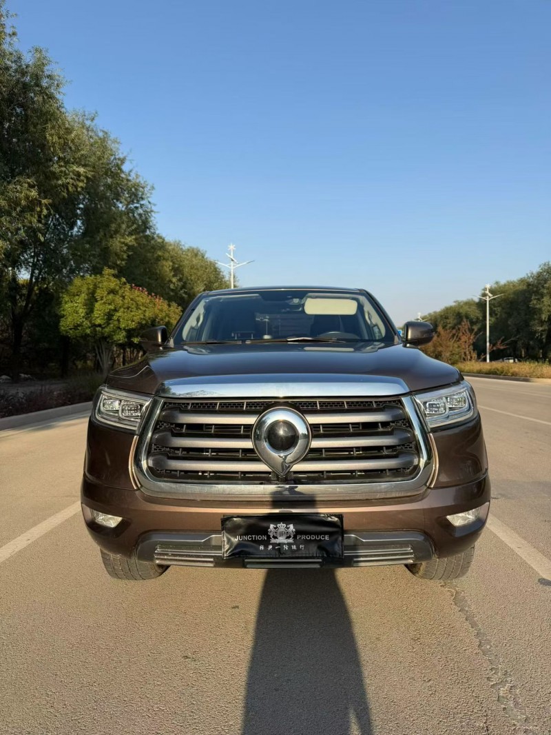 枣庄23年长城汽车炮 皮卡1