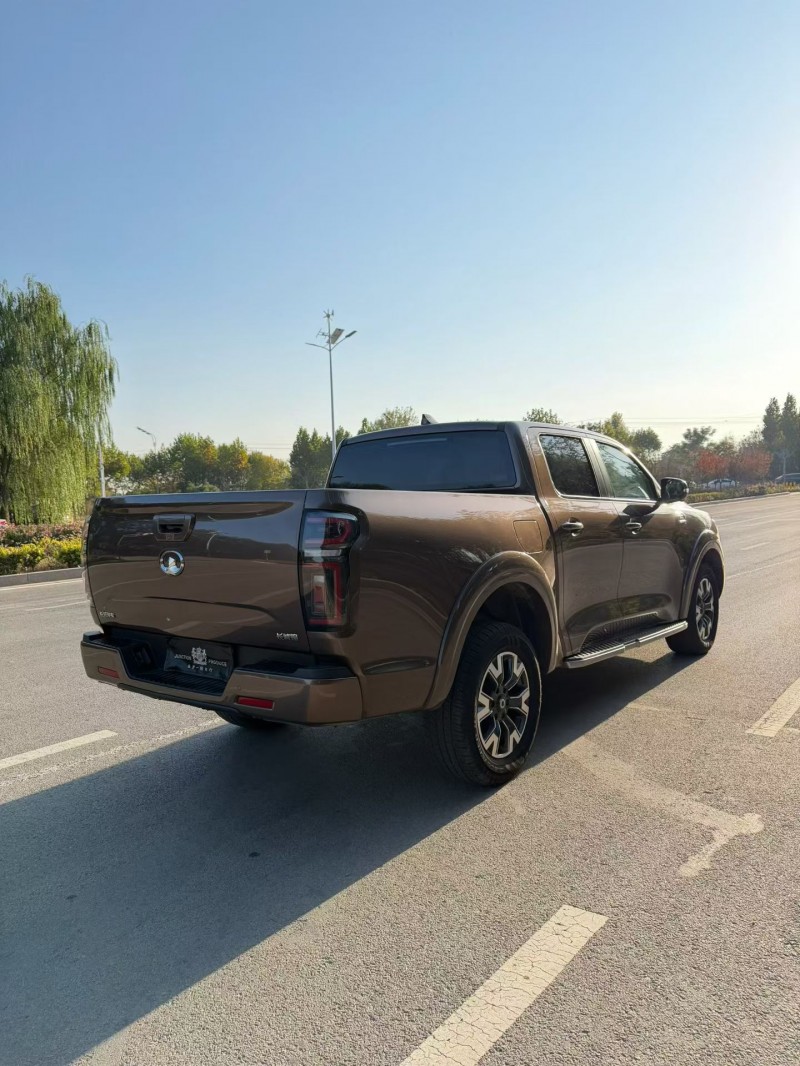 枣庄23年长城汽车炮 皮卡7