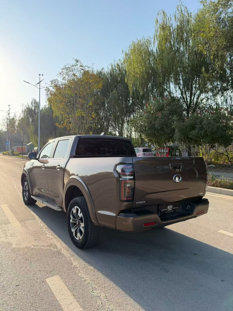 枣庄23年长城汽车炮 皮卡8