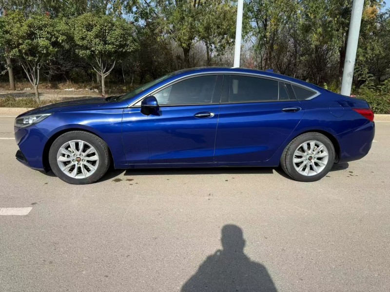 东营20年红旗H57