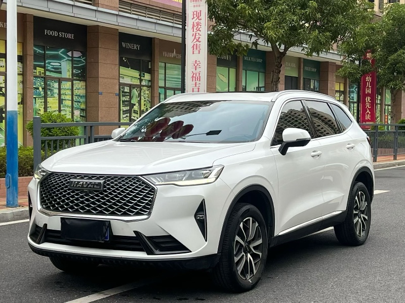 东莞20年哈弗H63