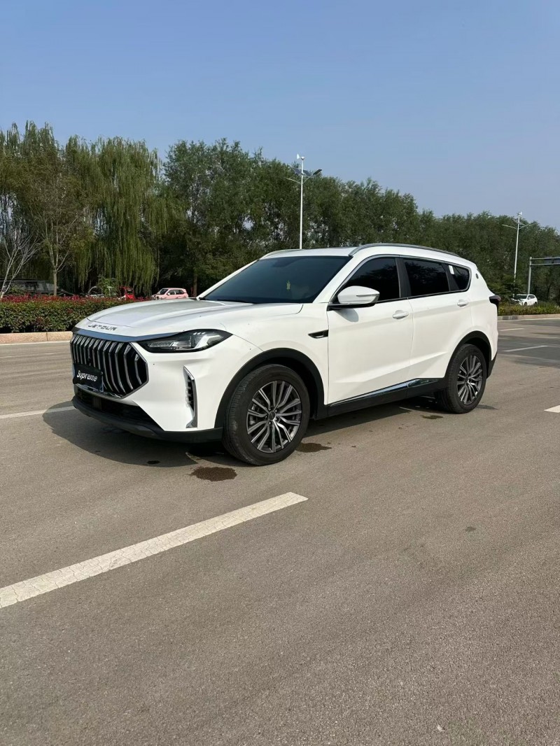 枣庄24年奇瑞捷途3