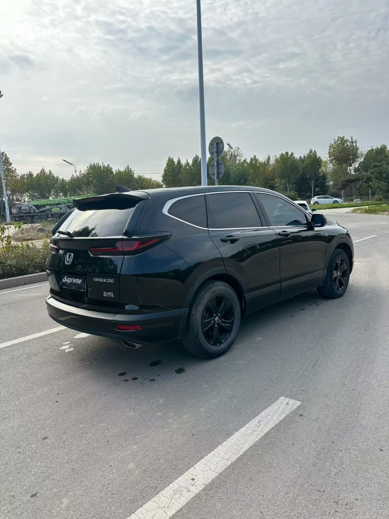 枣庄23年本田皓影9