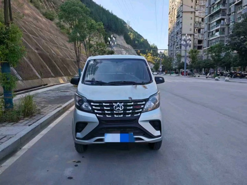 重庆24年长安汽车长行EV1