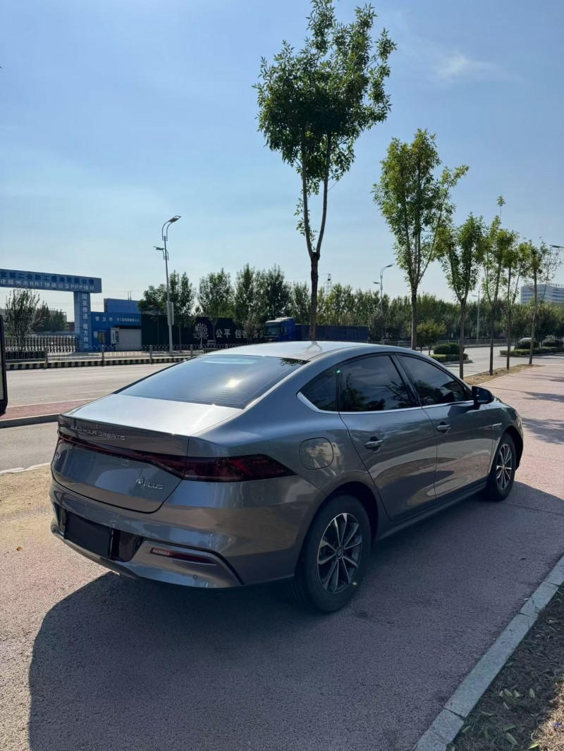 东营24年比亚迪秦8