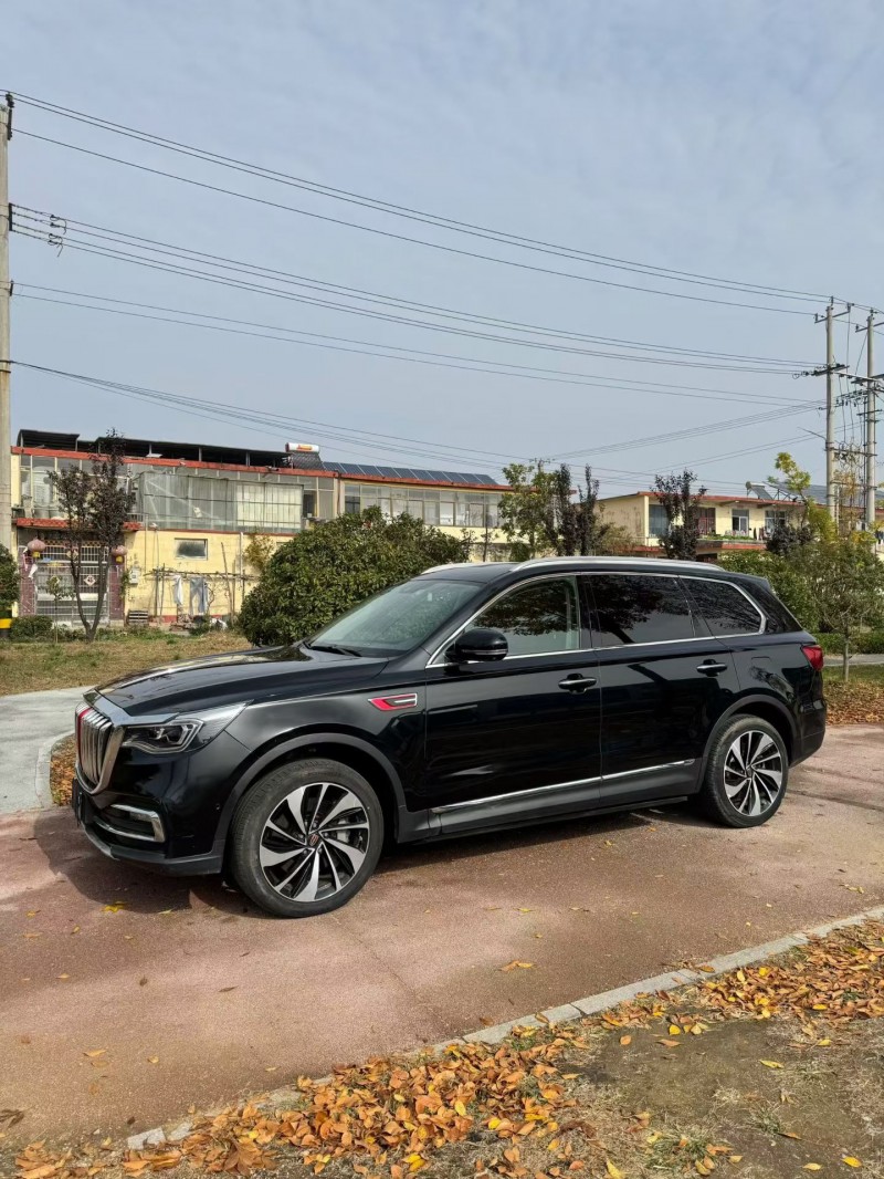 枣庄20年红旗HS73