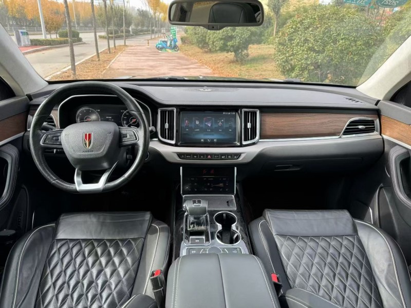 枣庄20年红旗HS74