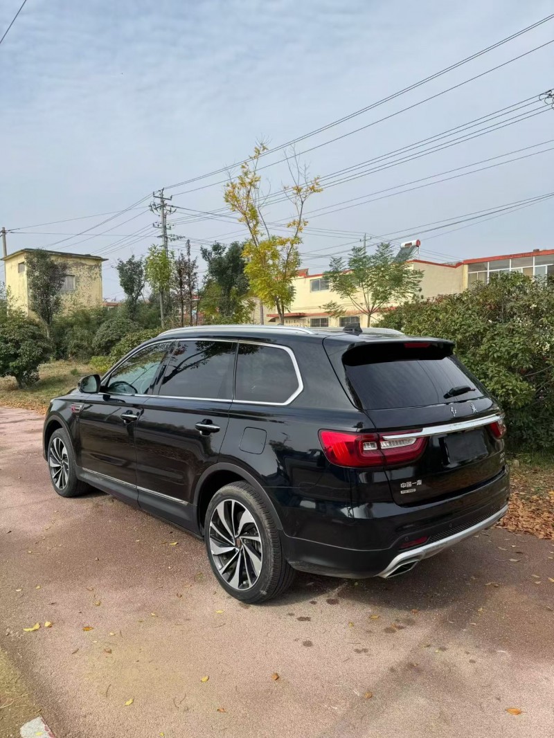 枣庄20年红旗HS79