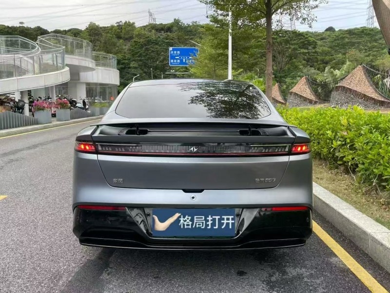 深圳24年东风奕派9