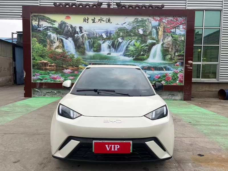 临沂24年比亚迪海鸥1