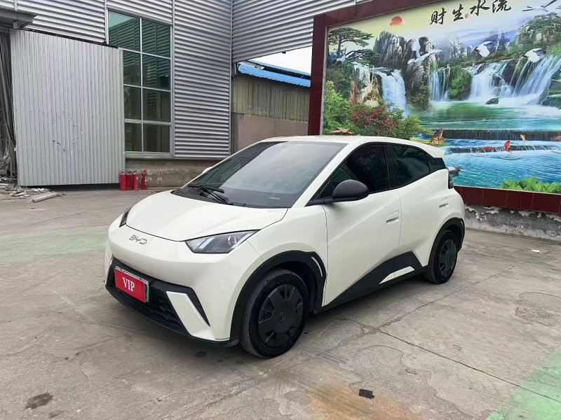 临沂24年比亚迪海鸥2