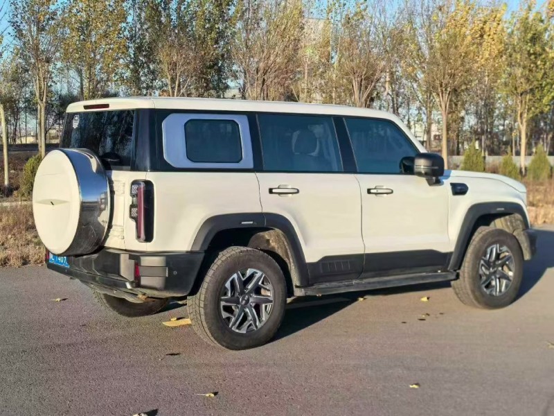 乌海24年北京BJ407