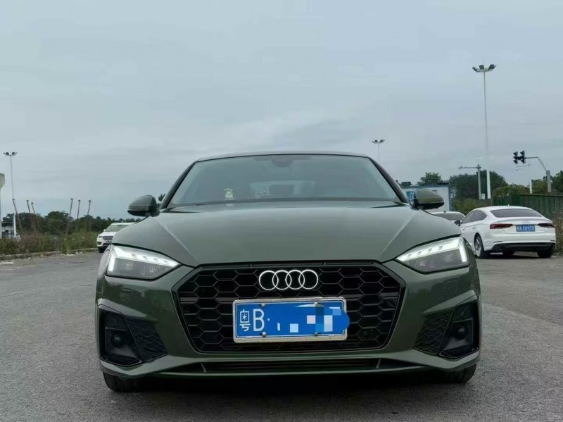 东莞22年奥迪A51