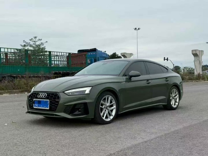 东莞22年奥迪A52