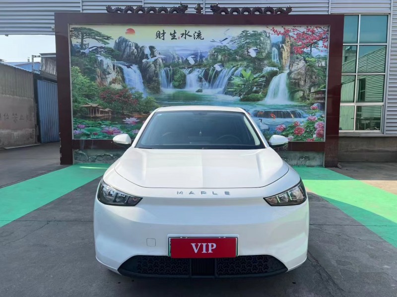 臨沂24年曹操汽車曹操601