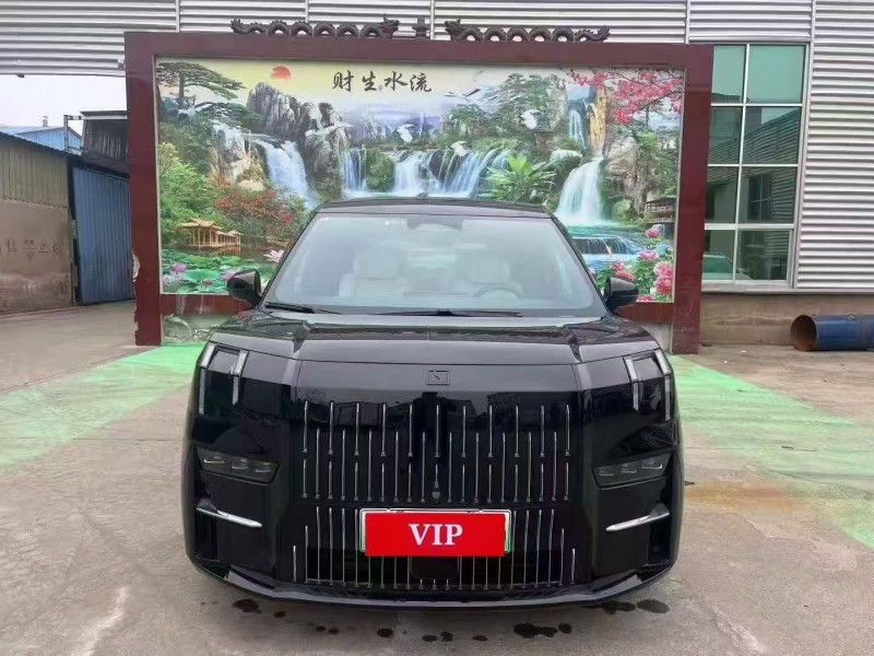 枣庄23年极氪汽车0091