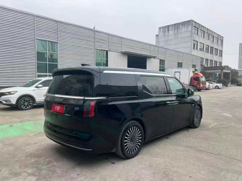 枣庄23年极氪汽车0098