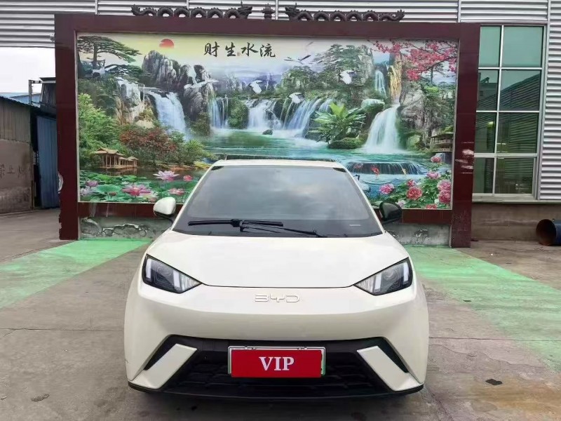 日照24年比亚迪海鸥1