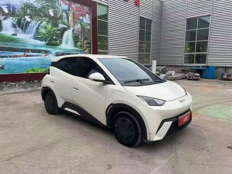 日照24年比亚迪海鸥2