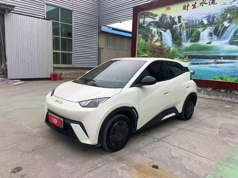 日照24年比亚迪海鸥3