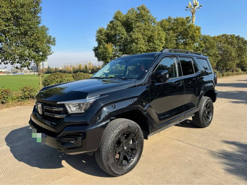 盐城25年长城汽车坦克2