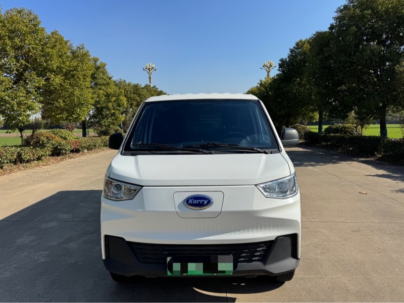 盐城24年开瑞江豚1