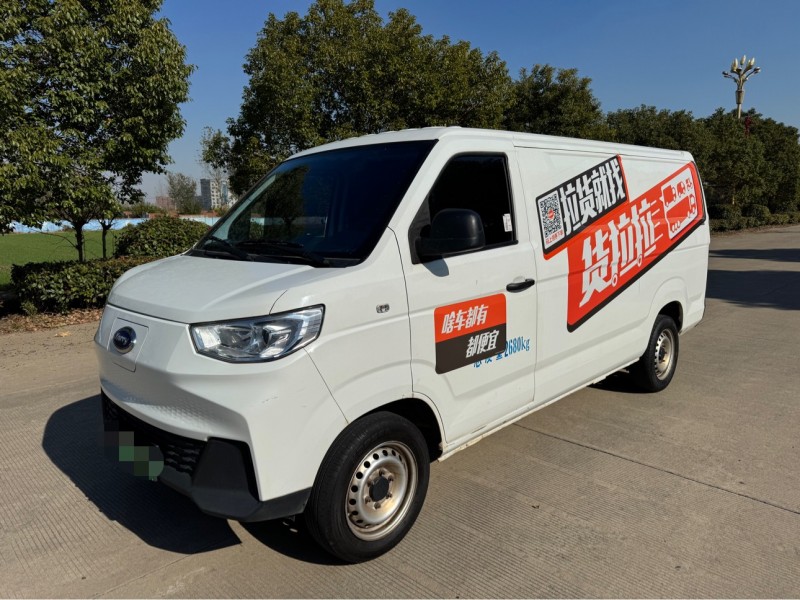 盐城24年开瑞江豚2