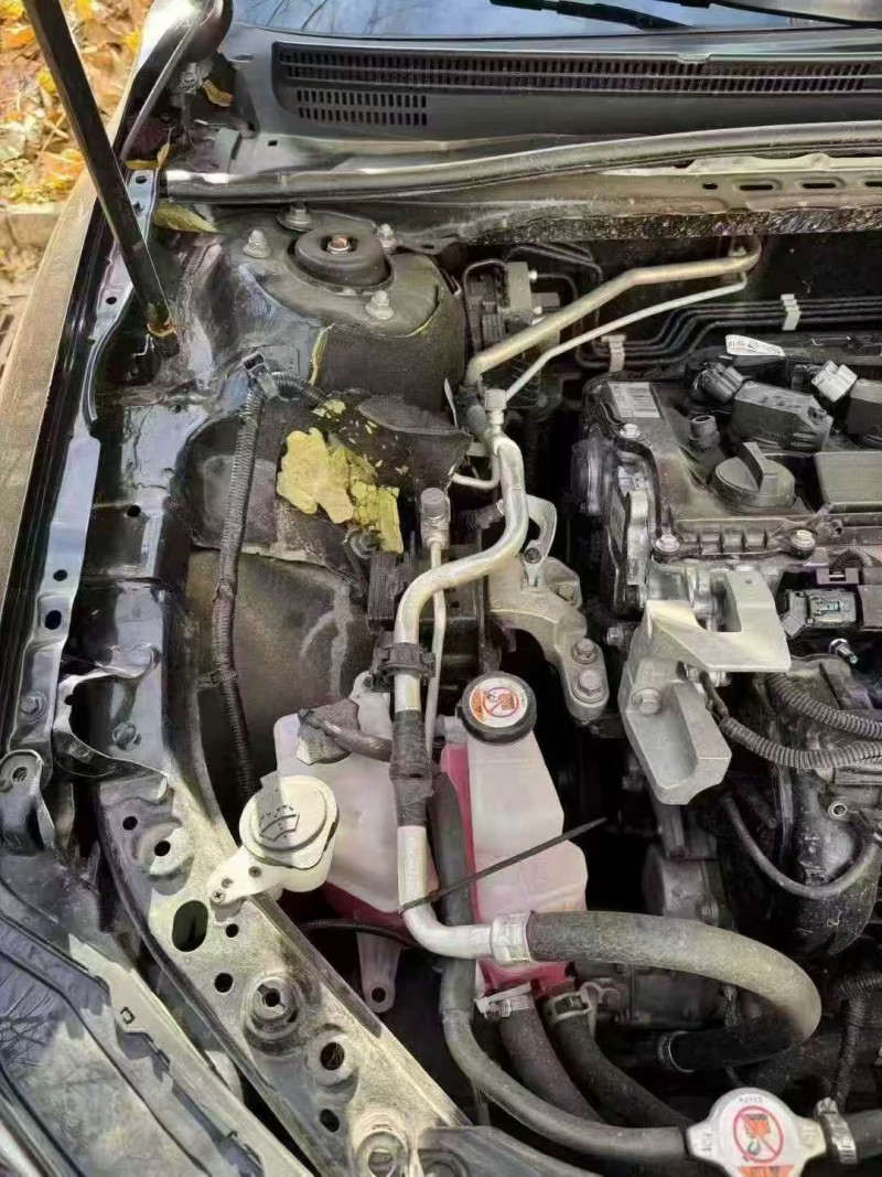 廊坊24年丰田凯美瑞7