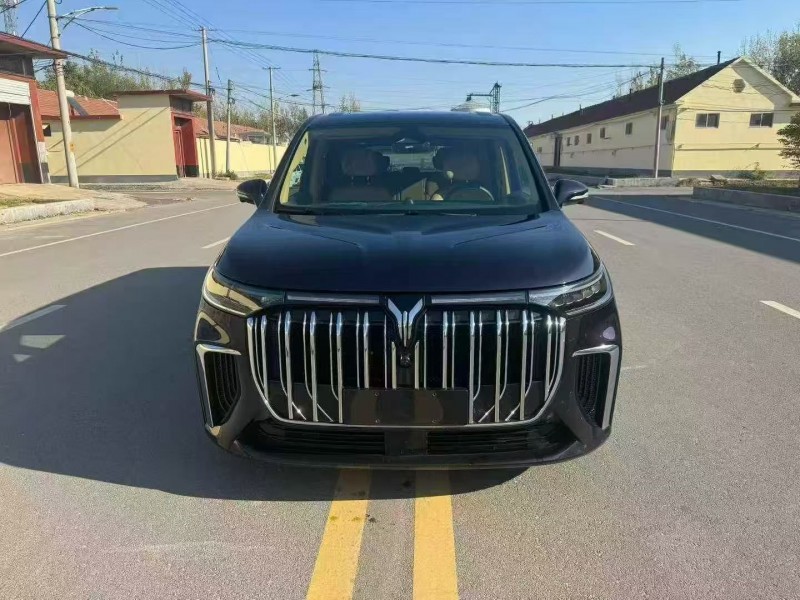 淄博23年岚图汽车梦想家1