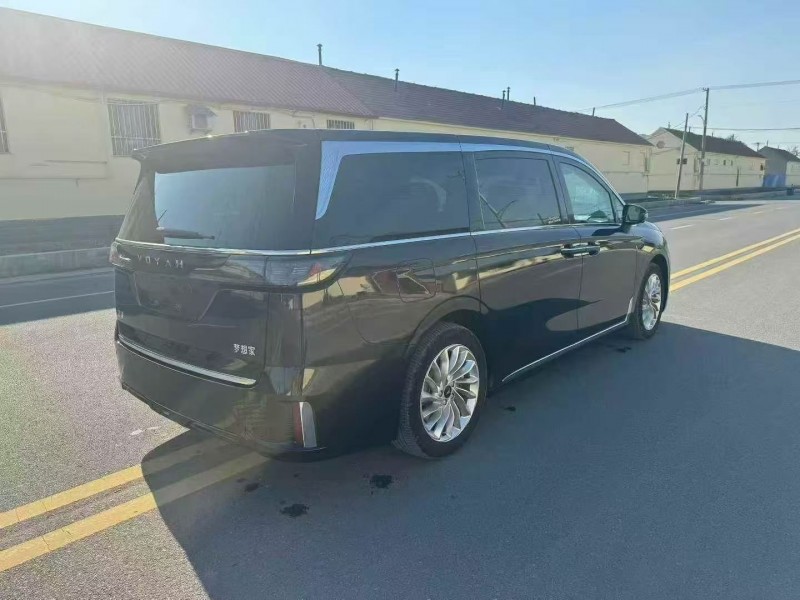 淄博23年岚图汽车梦想家8