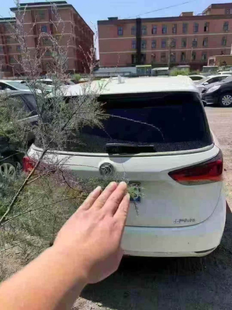 菏泽19年别克GL66