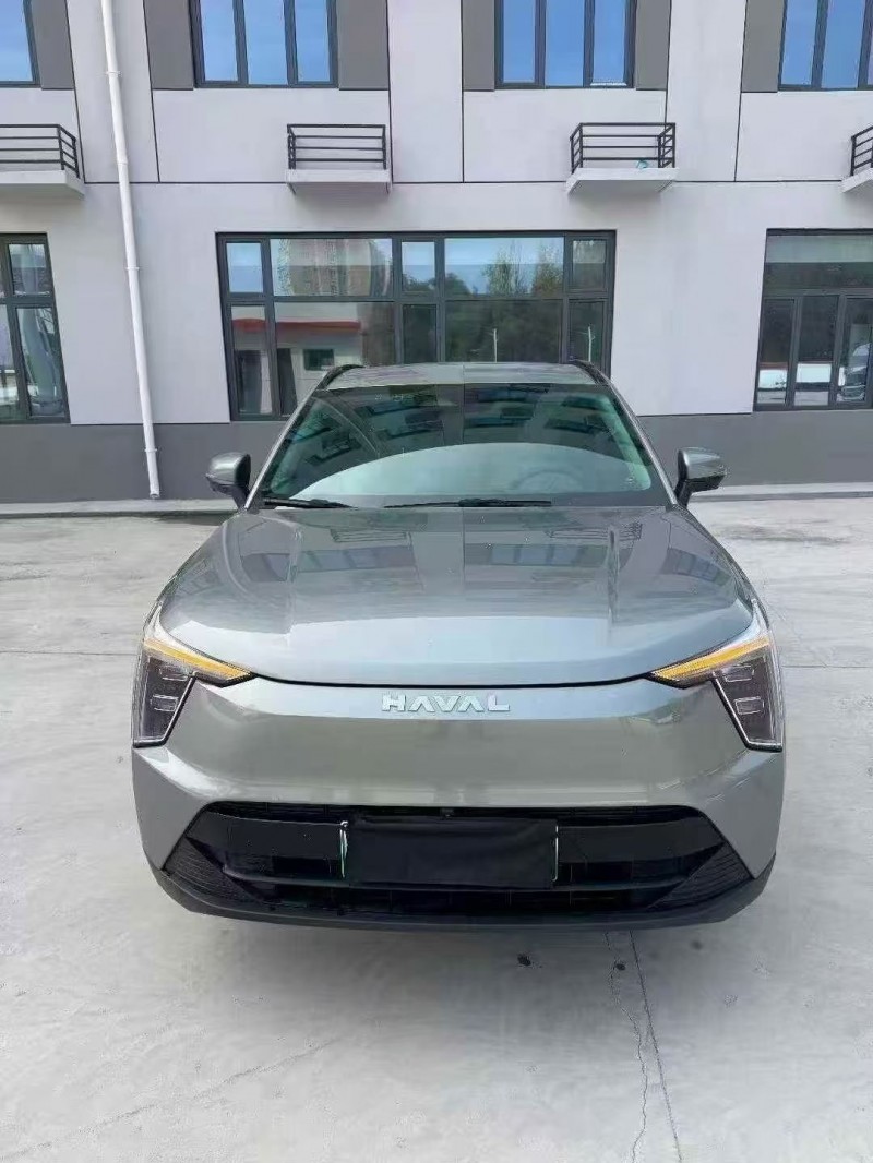 天水24年哈弗枭龙1