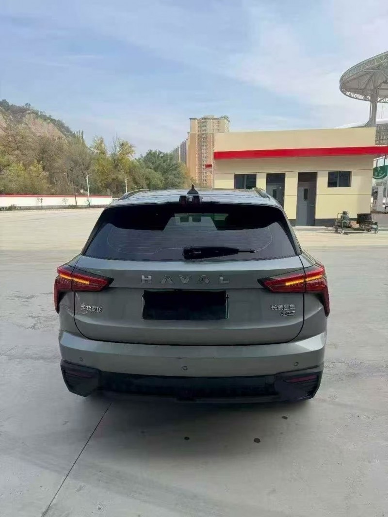 天水24年哈弗枭龙9