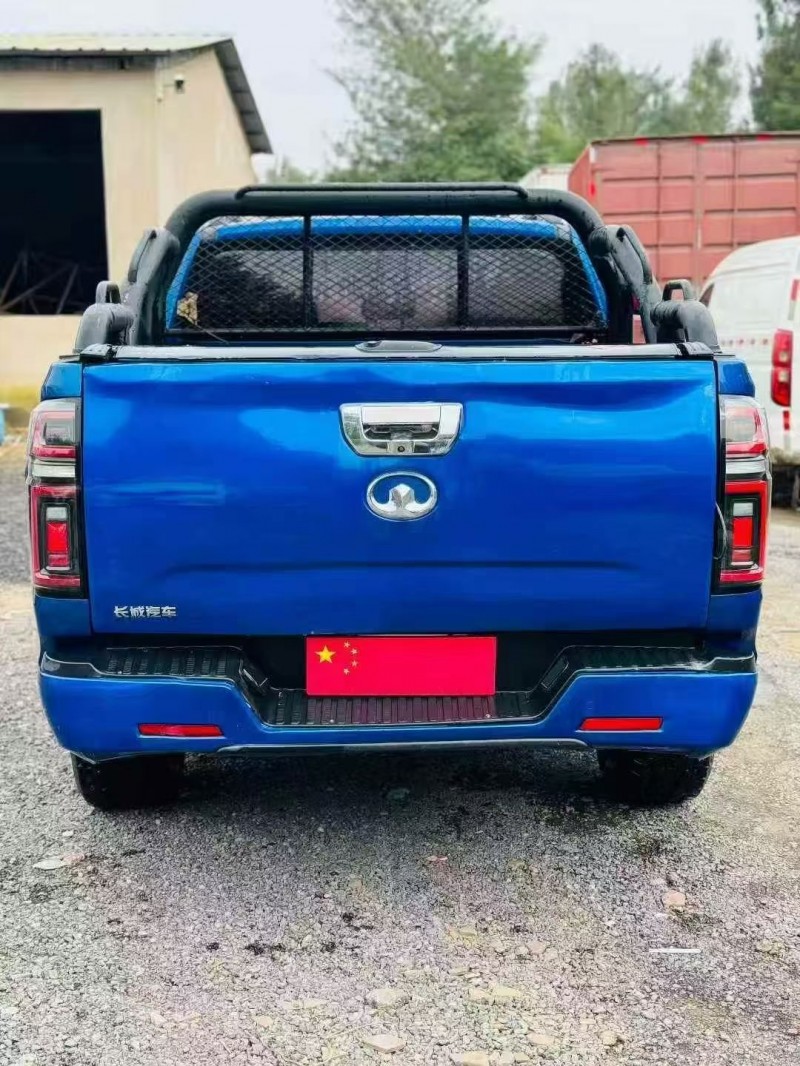 安阳21年长城汽车炮 皮卡9