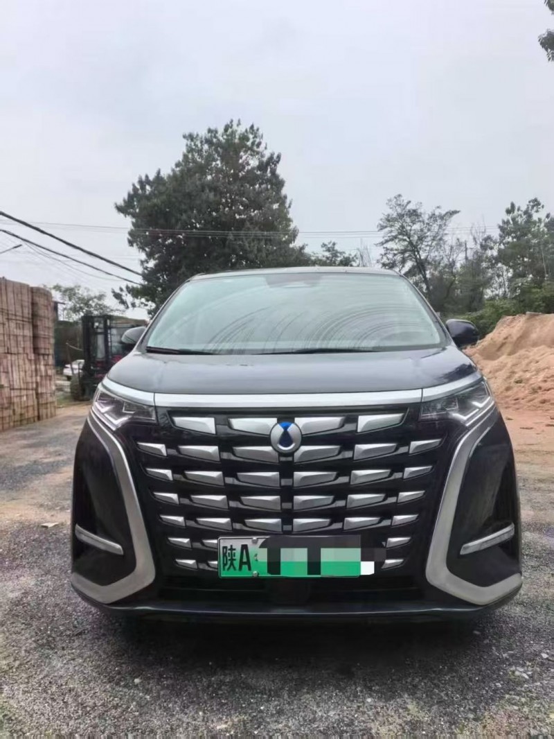 渭南24年腾势D91